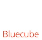 Bluecube Technology Solutions